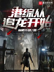 港综从追龙开始章节列表
