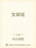 女宰辅章节列表