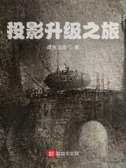 投影升级之旅章节列表