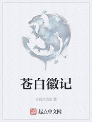 苍白徽记章节列表