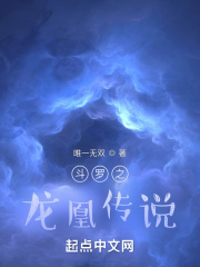 斗罗之龙凰传说章节列表
