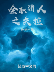 全职猎人之失控章节列表
