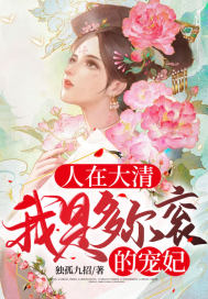 大清倾城皇后章节列表
