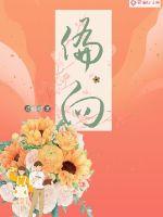 偏向章节列表