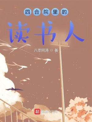 四合院里的读书人章节列表