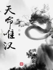 天命唯汉章节列表