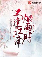又逢，江南烟雨时章节列表