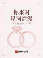你来时星河烂漫章节列表