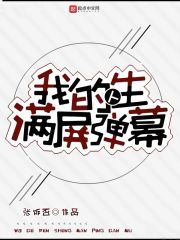 我的人生满屏弹幕章节列表