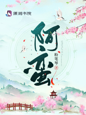 阿蛮章节列表