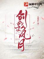 剑影风月章节列表