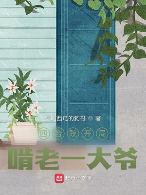 四合院开局啃老一大爷章节列表