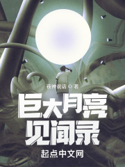 巨大月亮见闻录章节列表