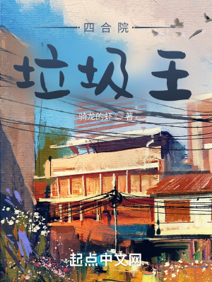 四合院：垃圾王章节列表