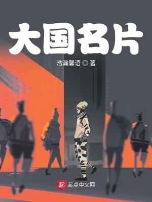 大国名片章节列表