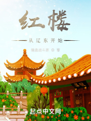 红楼从辽东开始章节列表