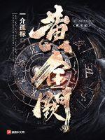 黄金阙章节列表