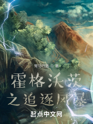 霍格沃茨之追逐风暴章节列表