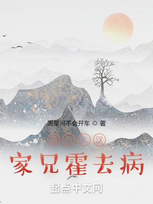 蒸汽大汉：家兄霍去病章节列表