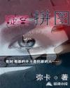 疑案拼图章节列表