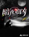 暗夜追凶章节列表