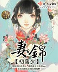妻锦章节列表