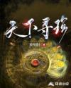 天下寻珍章节列表