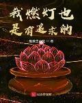 我燃灯也是有追求的章节列表
