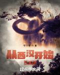 从西汉开始摆烂章节列表