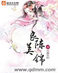 良陈美锦章节列表