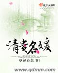 清贵名媛章节列表