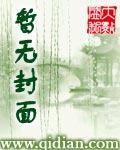 执掌光明顶章节列表