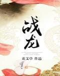 战龙章节列表