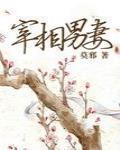 宰相男妻章节列表
