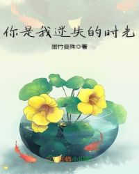 你是我迷失的时光章节列表