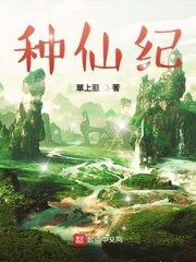 种仙纪章节列表