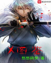 X图鉴章节列表