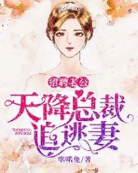招聘老公：天降总裁追逃妻章节列表