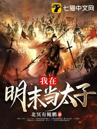 我在明末当太子章节列表