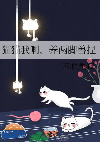 猫猫我啊，养两脚兽捏章节列表