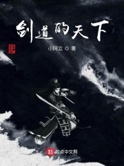 剑道的天下章节列表