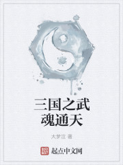 三国之武魂通天章节列表