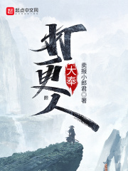 大丰打更人章节列表