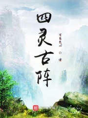 四灵古阵章节列表