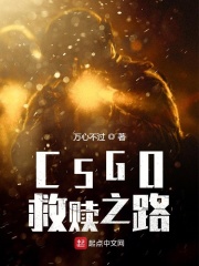 CSGO救赎之路章节列表