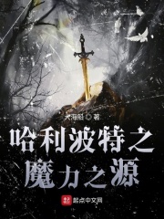 哈利波特之魔力之源章节列表