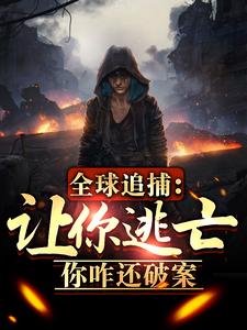 全球追捕：让你逃亡，你咋还破案章节列表