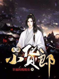 大唐小货郎章节列表