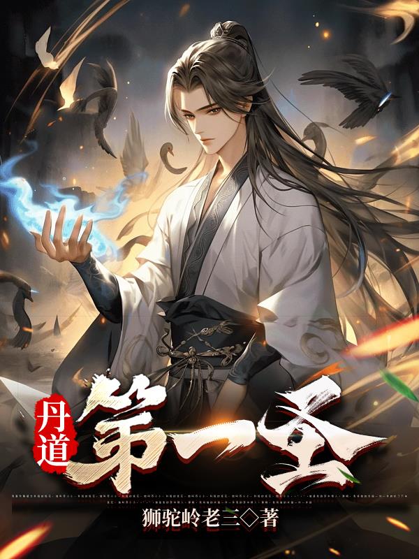 丹道第一圣章节列表