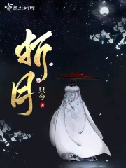 折月章节列表